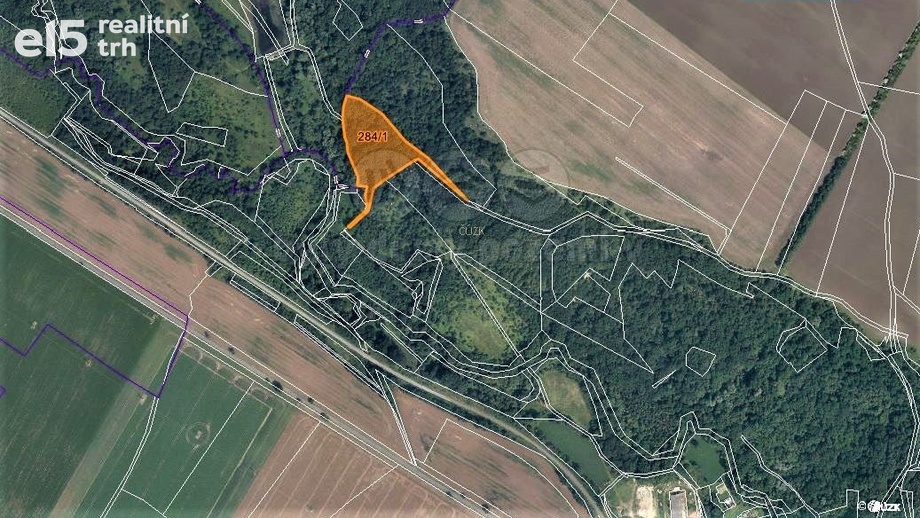 Prodej lesy, 10 077 m² - Žiželice