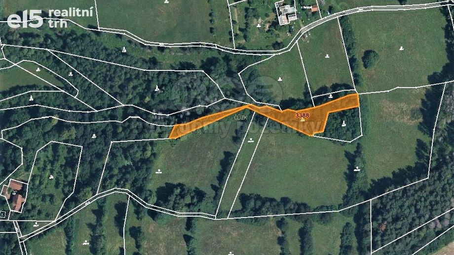 Prodej lesy, 1 421 m² - Malá Bystřice