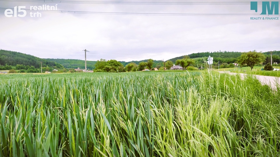 Prodej zemědělská půda, 23 999 m² - Sentice