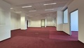 Pronájem kanceláře 221 m², Brno - Žabovřesky