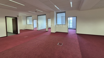 Pronájem kanceláře 221 m², Brno - Žabovřesky