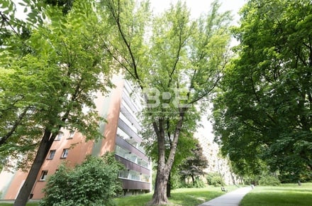 Pronájem bytu 3+1 71 m², Orlová