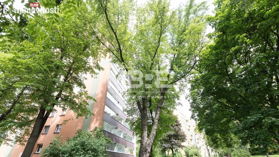 Pronájem bytu 3+1 71 m², Orlová