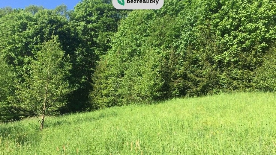 Prodej louky 3 100 m², Poniklá