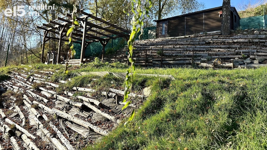 Prodej pozemky - zahrady, 365 m² - Tachov