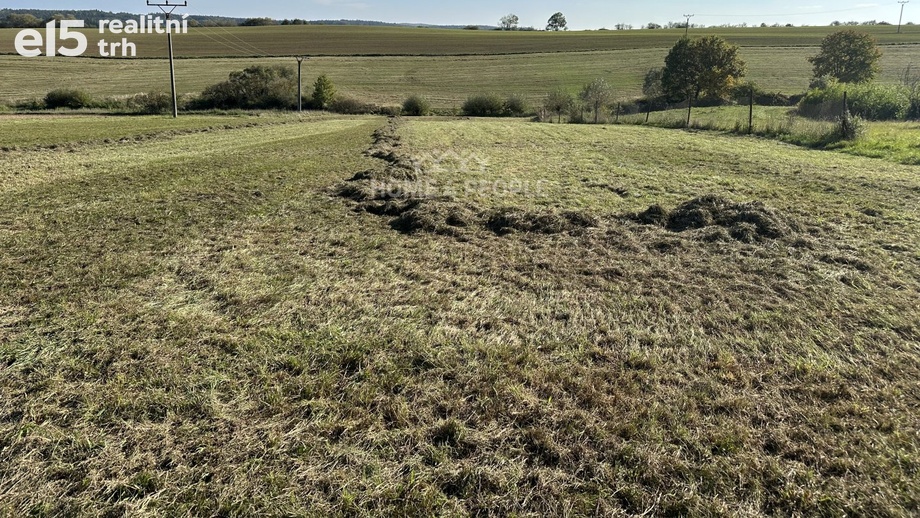 Prodej pozemky pro bydlení, 1 244 m² - Černé Voděrady