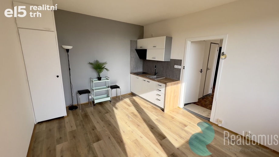 Pronájem byty 1+1, 49 m² - České Budějovice