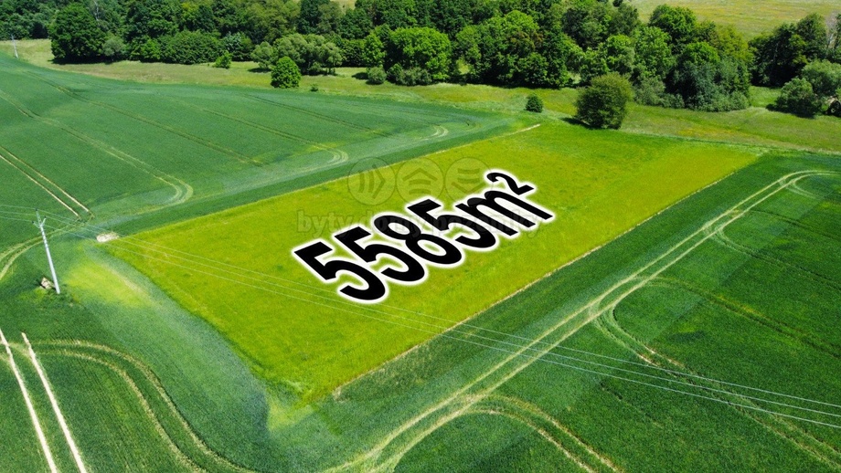 Prodej zemědělská půda, 5 585 m² - Sedliště