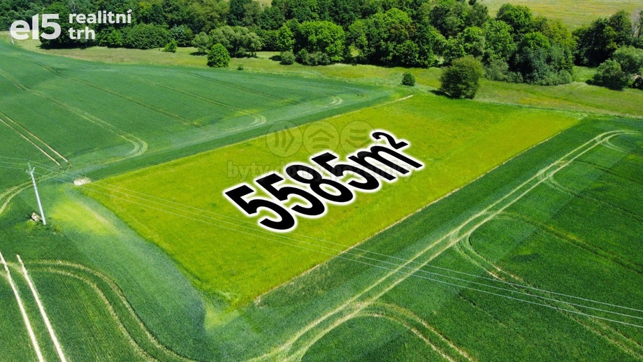 Prodej zemědělská půda, 5 585 m² - Sedliště