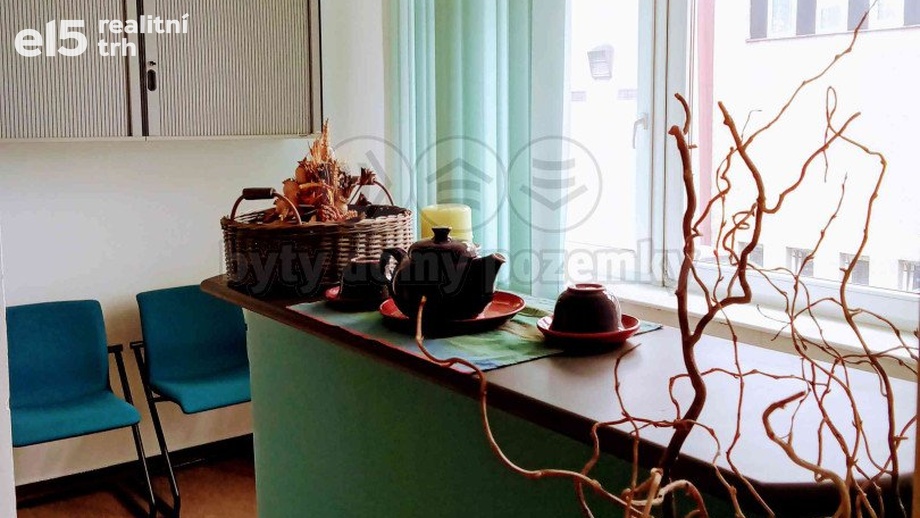 Pronájem ostatní nemovitosti, 48 m² - Olomouc - Nová Ulice