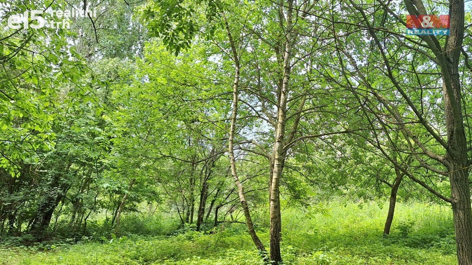 Prodej chaty 16 m², Zbraslavice