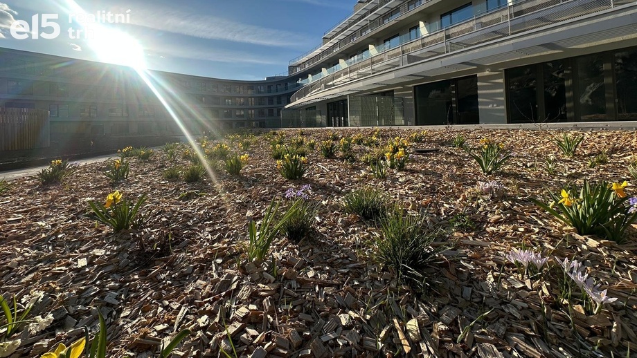 Prodej byty 2+kk, 56 m² - Brno - Komín