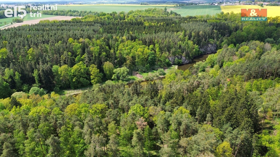 Prodej lesy, 79 857 m² - Černýšovice