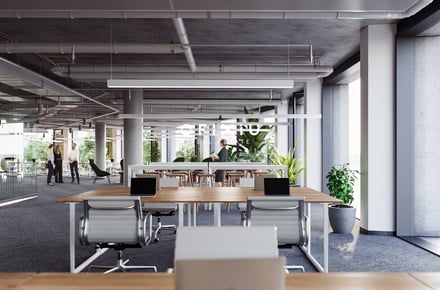 Pronájem obchodního prostoru 300 m², Brno