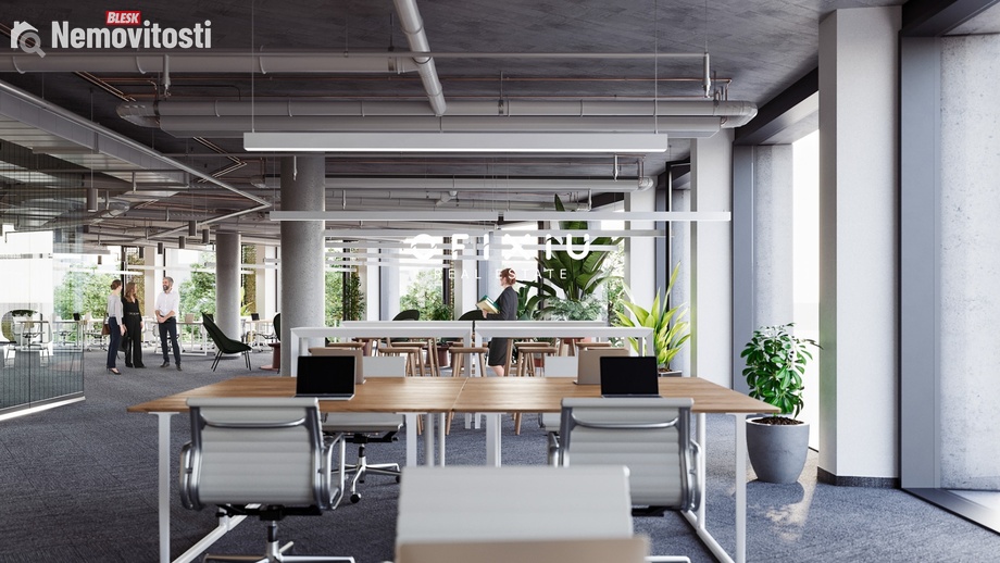 Pronájem obchodního prostoru 300 m², Brno