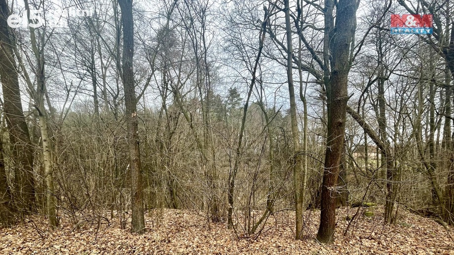 Prodej pozemky - trvalý travní porost, 11 020 m² - Olbramovice - Slavkov