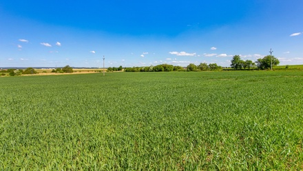 Prodej stavebního pozemku 948 m², Zbůch