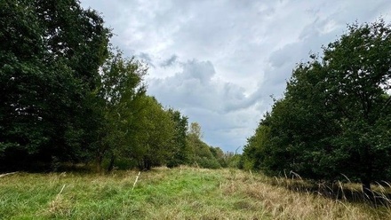 Prodej louky 3 072 m², Karviná - Staré Město