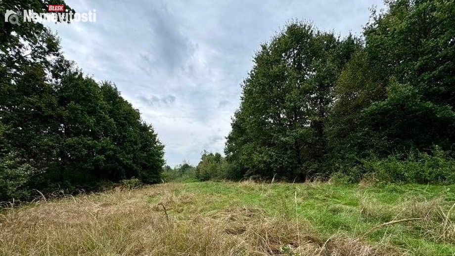 Prodej louky 3 072 m², Karviná - Staré Město