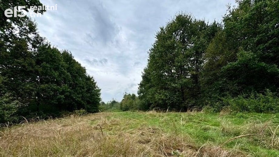 Prodej louky 3 072 m², Karviná - Staré Město