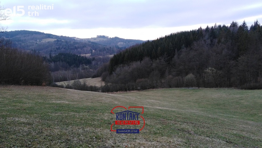 Prodej lesy, 13 657 m² - Lužná