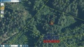 Prodej lesa 27 178 m², Liptál