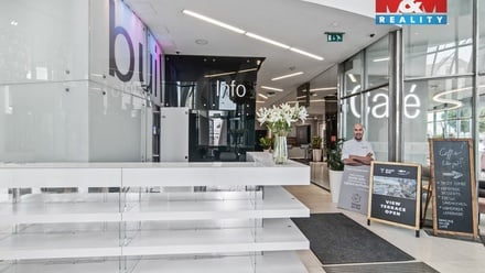 Pronájem kanceláře 30 m², Praha 2