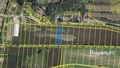 Prodej pole 2 110 m², Morkůvky