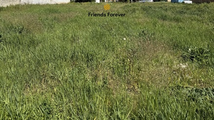 Prodej stavebního pozemku 3 734 m², Liběšice - Zimoř