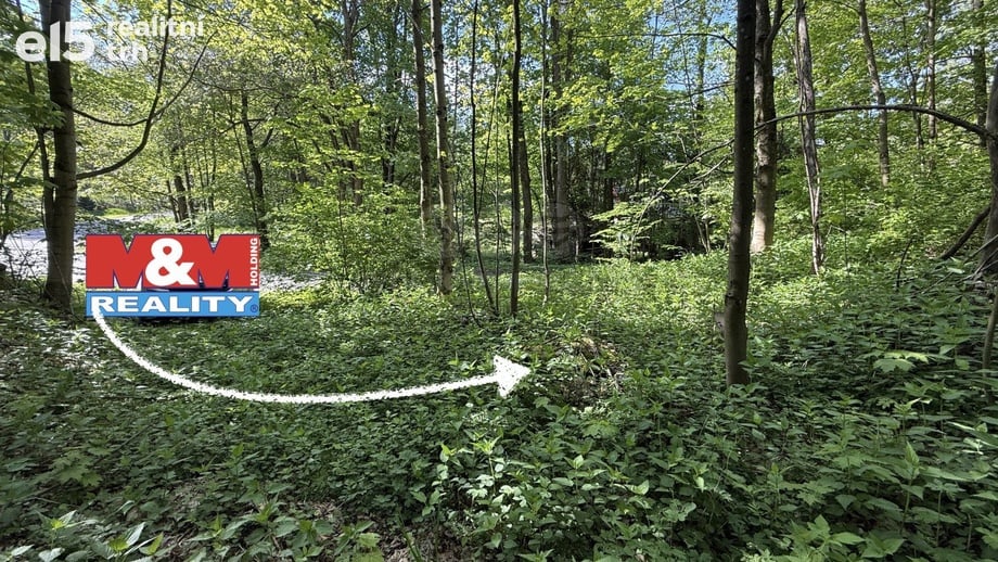 Prodej pozemky pro bydlení, 424 m² - Červená Voda - Horní Orlice