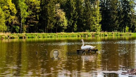 Prodej rybníku 35 594 m², Dlouhá Lhota