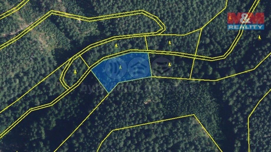 Prodej lesy, 5 021 m² - Proseč