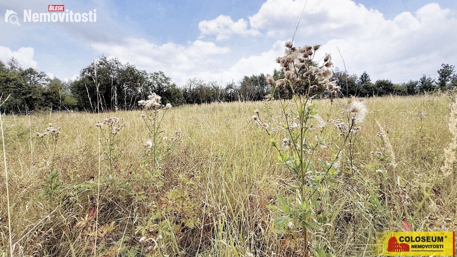 Prodej stavebního pozemku 2 000 m², Sebranice