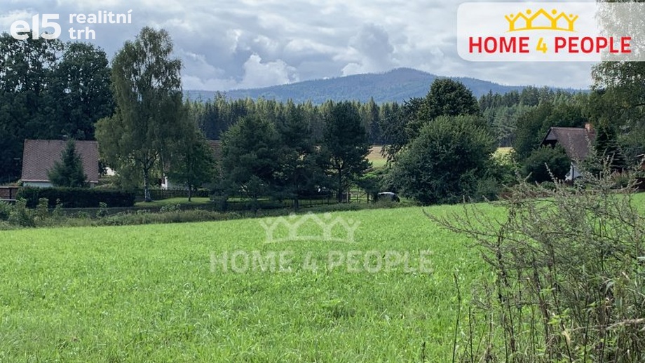 Prodej pozemky - trvalý travní porost, 5 428 m² - Nová Pec - Nové Chalupy