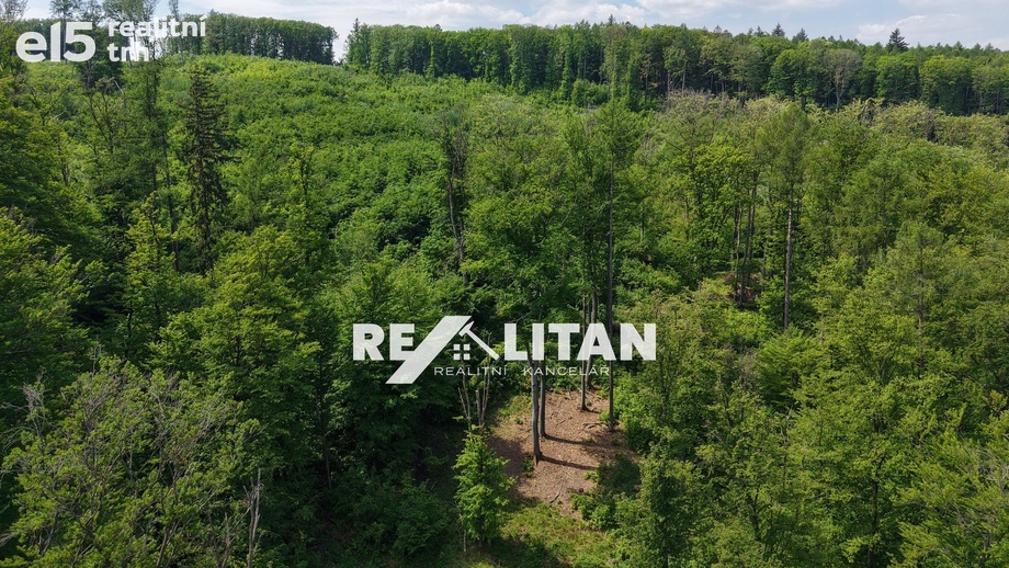 Prodej lesy, 7 184 m² - Koryčany