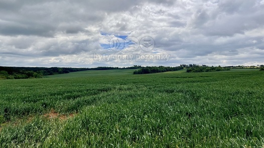 Prodej zemědělská půda, 22 965 m² - Měcholupy - Želeč
