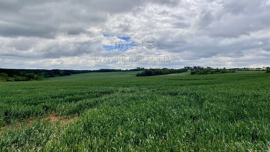 Prodej zemědělská půda, 22 965 m² - Měcholupy - Želeč