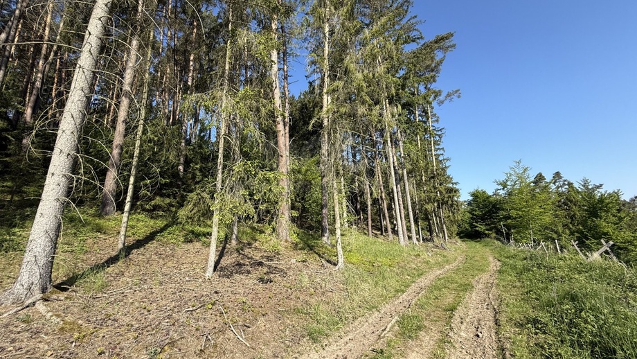 Prodej lesy, 23 184 m² - Milešov