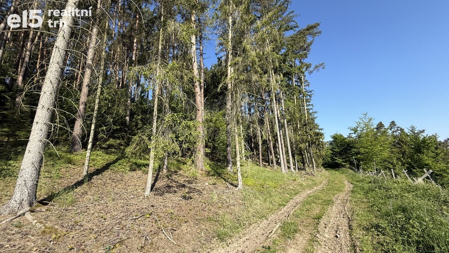 Prodej lesy, 23 184 m² - Milešov