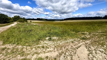 Prodej pole 220 644 m², Tisová - Kumpolec