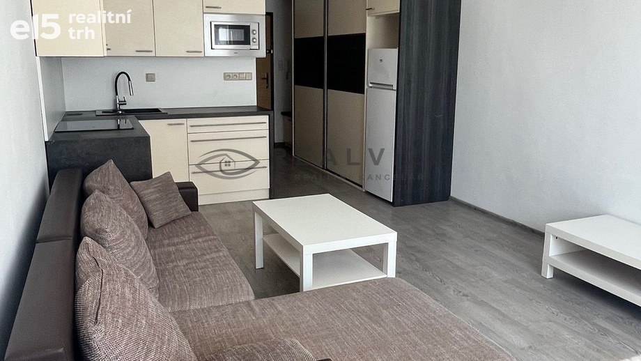 Pronájem byty 1+kk, 21 m² - České Budějovice 2