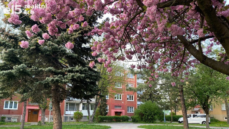 Prodej byty 2+1, 55 m² - Bílina - Teplické Předměstí