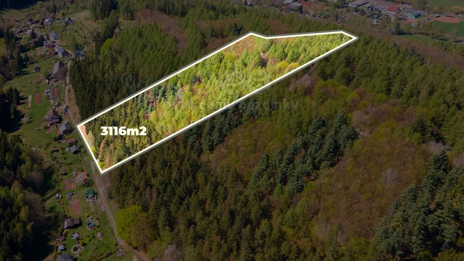 Prodej lesa 3 116 m², Trutnov