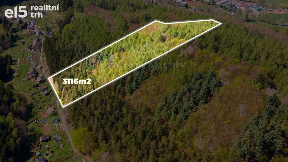 Prodej lesy, 3 116 m² - Trutnov