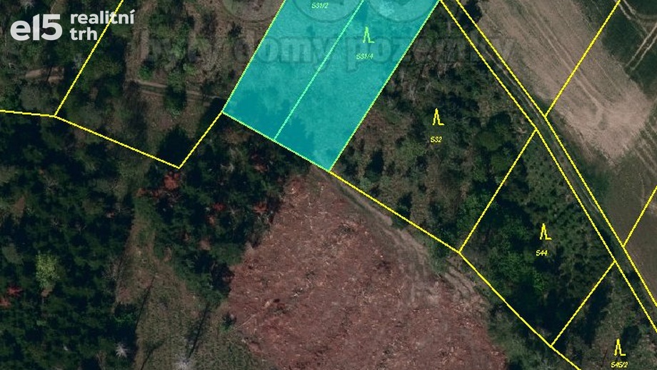Prodej lesy, 4 100 m² - Střítež