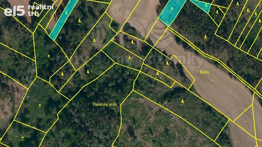 Prodej lesa 5 299 m², Hodov