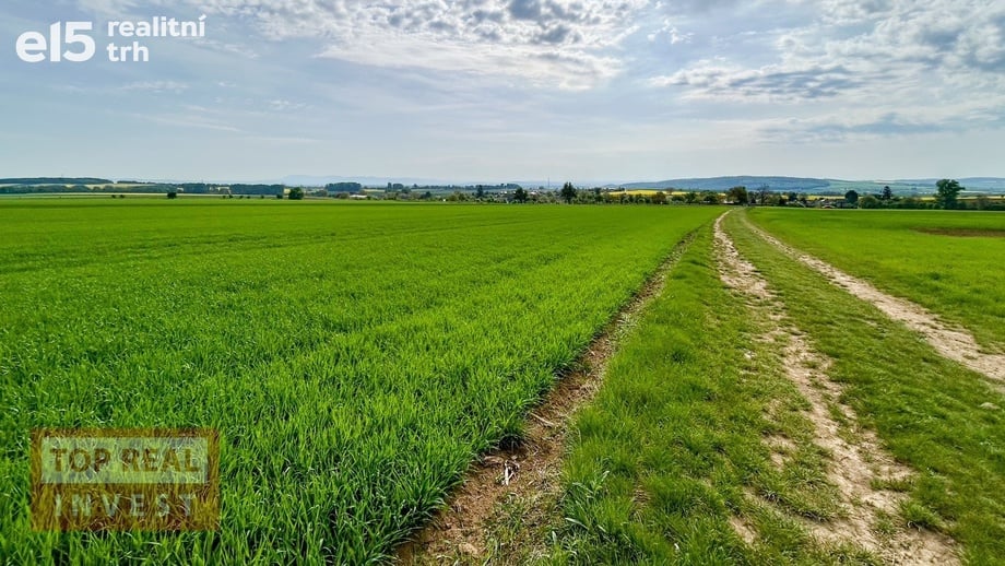 Prodej podílu 1/2 zemědělská půda, 4 847 m² - Rataje - Popovice