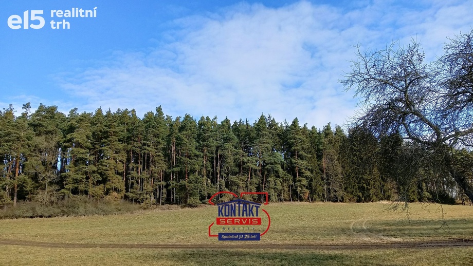 Prodej lesy, 27 324 m² - Horažďovice - Veřechov