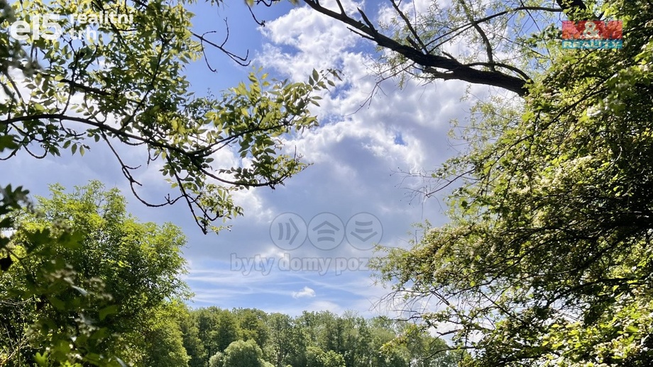 Prodej zemědělská půda, 19 910 m² - Měcholupy - Želeč