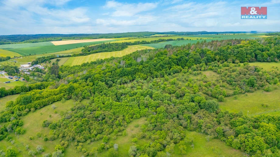 Prodej lesy, 2 518 m² - Chyňava